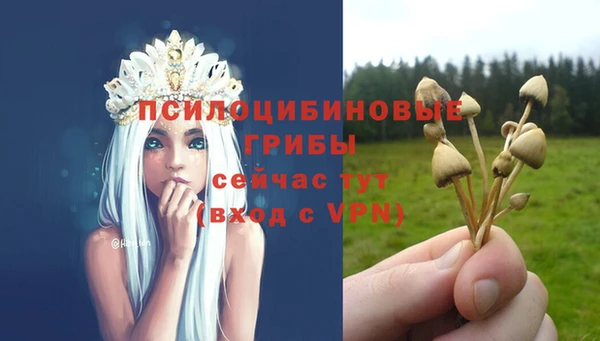 бошки Вяземский