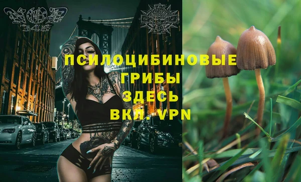 дживик Вязники