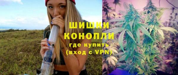 бошки Вяземский
