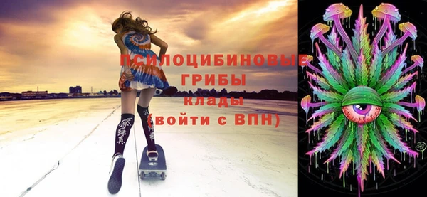 дживик Вязники