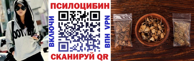 Галлюциногенные грибы Magic Shrooms  купить закладку  Железногорск 